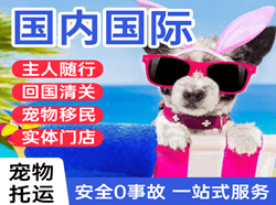 潮汕航空快递国际宠物托运 【国